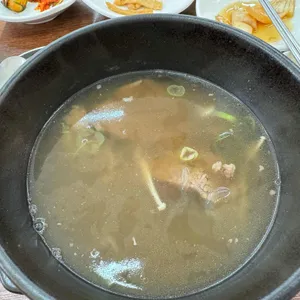 밀모 대표 사진