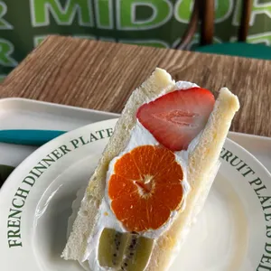 미도리컬러 사진