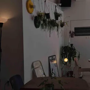 피틀리 리뷰 사진