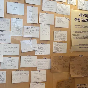 하우피 리뷰 사진