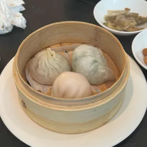 무탄 사진
