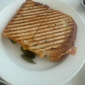 오이 대표 사진