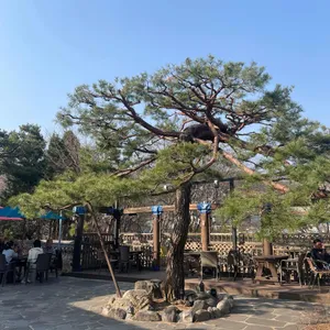 문향 리뷰 사진