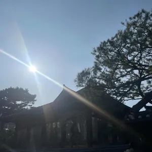 문향 리뷰 사진