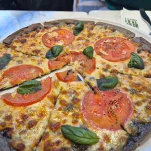 닥터로빈 사진 2