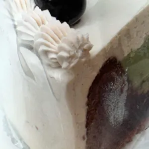 엘리케이커 사진 1