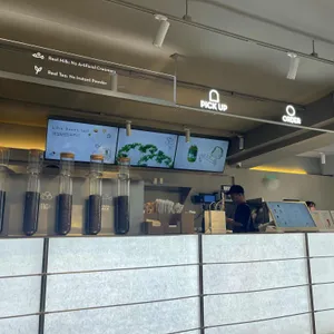 헤이티 대표 사진