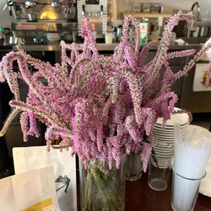 아일 대표 사진