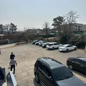 폰손비 리뷰 사진