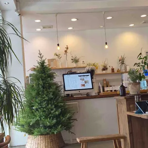 플랜츠 리뷰 사진