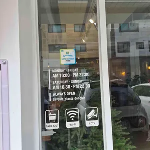 플랜츠 리뷰 사진