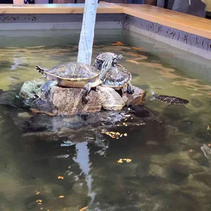 작은연못 사진 2