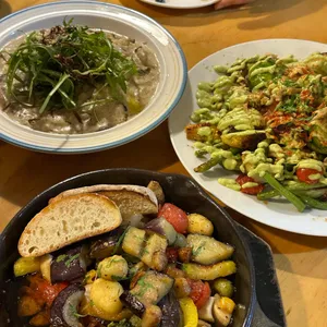 남미 플랜트랩 대표 사진