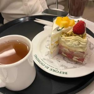 비포블루밍 대표 사진