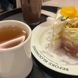 비포블루밍 대표 사진