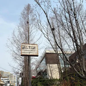 알베르 대표 사진