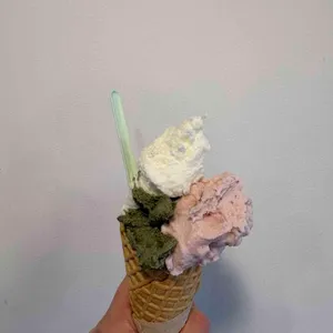 닐젤라또 사진 1