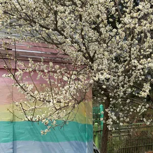 카페콩이 사진 2