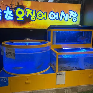 속초오징어어시장 대표 사진