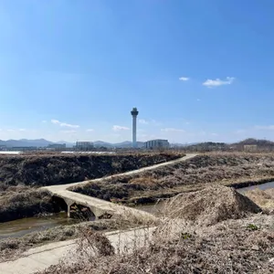 오가네손두부 리뷰 사진