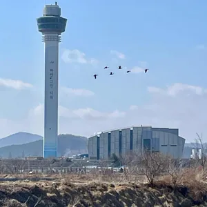 오가네손두부 리뷰 사진