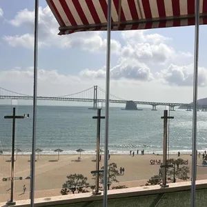 도우개러지 리뷰 사진