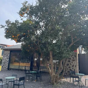 커피템플 대표 사진