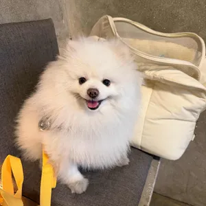 낫노멀커피 대표 사진