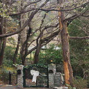 카페 만디 대표 사진