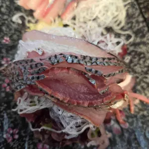 설악항 4호 현진호 사진