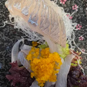 설악항 4호 현진호 사진