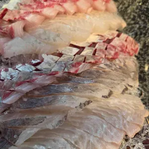 설악항 4호 현진호 사진