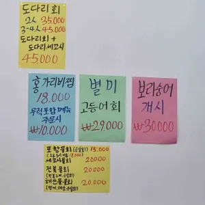 속초종합어시장 리뷰 사진