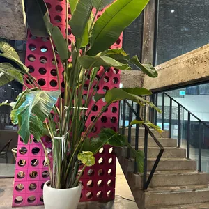 옹근달 대표 사진