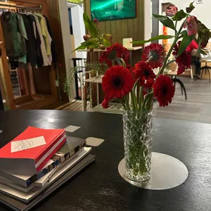 컴팩트 프리덤 리뷰 사진