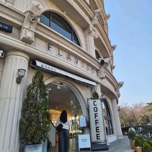 플라비우스 사진 1