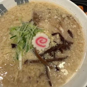 돈이찌 대표 사진