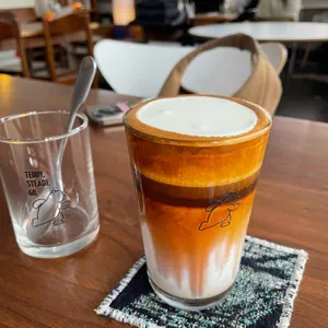 테디, 스테디, 고 사진 1