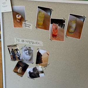 어보브 대표 사진