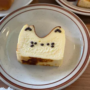 어보브 대표 사진