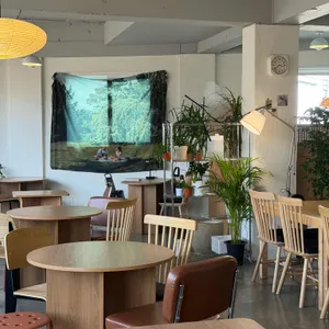 어보브 대표 사진