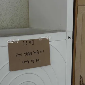 카페 무우 리뷰 사진