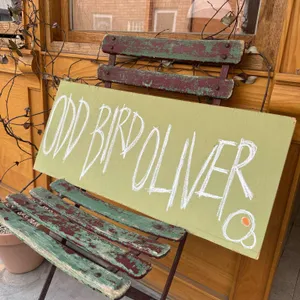 오드버드올리버 리뷰 사진