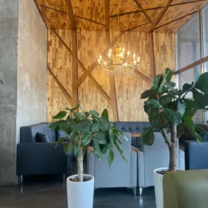 쉐프부랑제 대표 사진