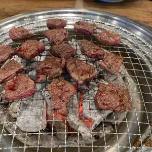 스타먹소 대표 사진