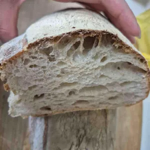 하이놀리 사진 1