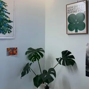 오운 대표 사진