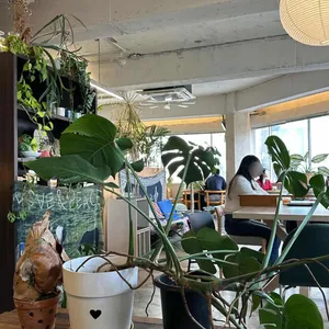 컴피클럽 리뷰 사진