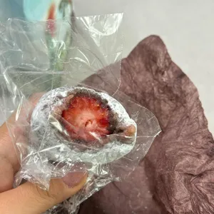 한정선 녹 사진