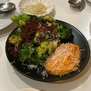 브라체 대표 사진